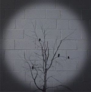 Meet your Posher, Kip